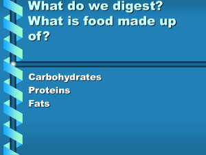 What do we digest? What is food made up of?