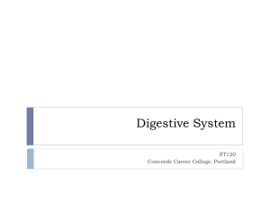 ST120 Digestive System_BB