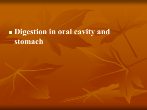 Lecture 27. Digestion in oral cavity and stomach