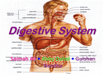 Diseases of the Digestive System