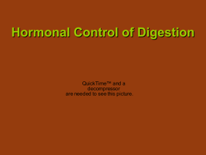 Hormonal Control of Digestion Gastrin
