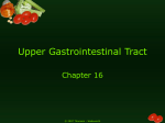 Upper Gastrointestinal Tract - Nutrition and Food Technology-just