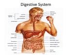 Chapter 21 Digestive..