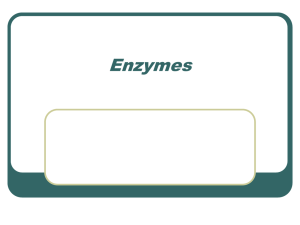 Enzymes