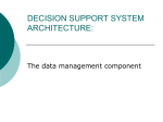 DECISION SUPPORT SYSTEM ARCHITECTURE: