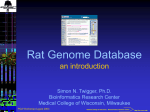 Mouse Genome Database - Medical College of Wisconsin