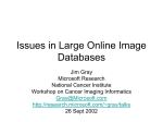 Issues in Large Online Image Databases