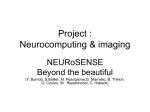 Neurocomputing & imaging