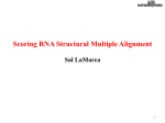 sal - RNA Informatics @ UGA