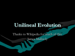 What is Unilineal Evolution in Anthropology?