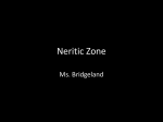 Neritic Zone