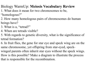 Biology WarmUp: Meiosis Vocabulary Review 1. What does it