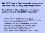The SEE (Space Exploration Experience for the Blind and Visually