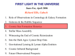 FIRST LIGHT IN THE UNIVERSE