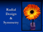Radial Design & Symmetry