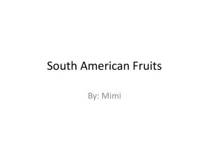 Fruits.Mimi
