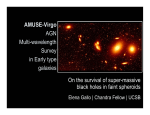 AMUSE-Virgo AGN Multi-wavelength Survey