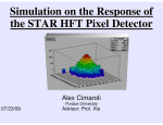 Simulation on the Response of the STAR HFT Pixel Detector Alex Cimaroli 07/23/09