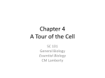 Chapter 4 A Tour of the Cell