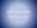 Cell Biology Jeopardy