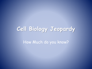 Cell Biology Jeopardy