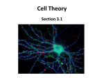 Cell Theory