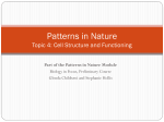 Cell Structure and Functioning