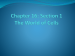 Chapter 16: Section 1 The World of Cells