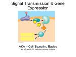 Cell Signaling Basics