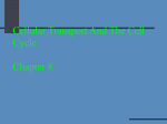 Cellular Transport And The Cell Cycle chapter 8 biology Miss