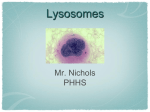 Lysosomes - Mr. Nichols` Science Adventures