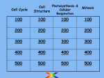 Chapter 15 - The Cell