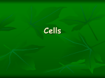 Cells - Hazlet.org