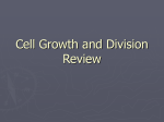 Cell Growth and Division Review
