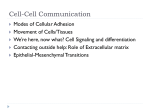 Cell-Cell Communication