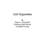 Cell Organelles - Smyth County Virginia Public Schools