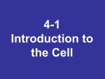 The Cell Theory - Ursuline High School