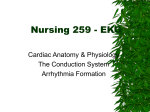 Nurs 259 - Basic EKG Interpretation