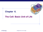 Chapter 7. The Cell: Basic Unit of Life