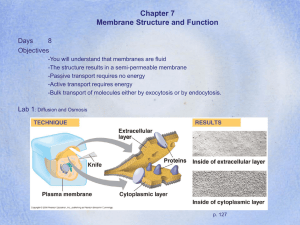 Chapter 7 Membrane Structure and Function