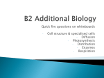 B2 Additional Biology - Flintshire County Council
