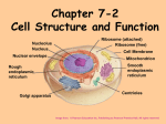 CELL PARTS Chapter 4 - Ms. Chambers' Biology