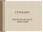 INTEGUMENTARY SYSTEM - Orange Coast College