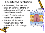 Facilitated Diffusion - Ms. Ramirez's Biology Page