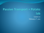 Passive Transport + Potato lab