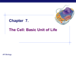 Chapter 7. The Cell: Basic Unit of Life