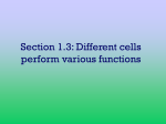 Section 1.3: Different cells perform various functions