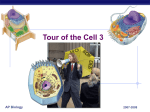 Tour of the Cell - Explore Biology