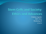 Stem Cells and Society: Ethics and Advances