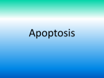 Apoptosis - Sir Joseph Williamson